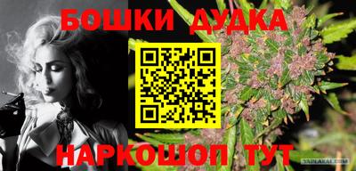 гашик Жуковский