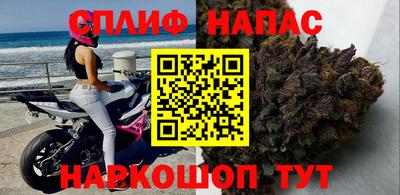 гашик Жуковский