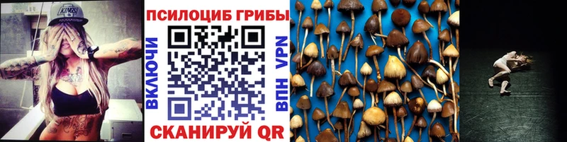 что такое   Нефтеюганск  Псилоцибиновые грибы GOLDEN TEACHER 